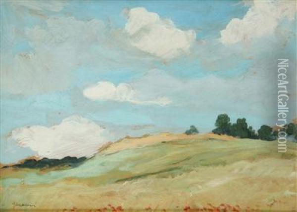 A Summer Landscape Oil Painting - Gustav Macoun