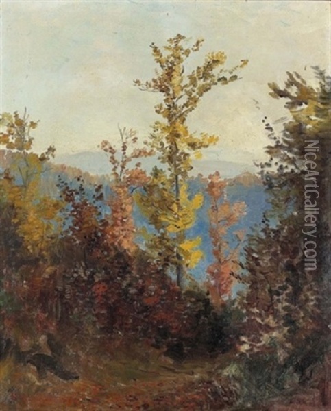 Waldweg Im Herbst Bei Sonnigem Wetter Oil Painting - Jean-Joseph Reichlen