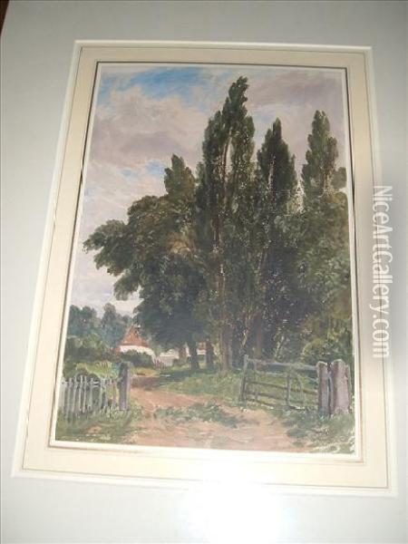 Sheffield, Junior , View Oftrees By A Farm Lane Oil Painting - George Sheffield
