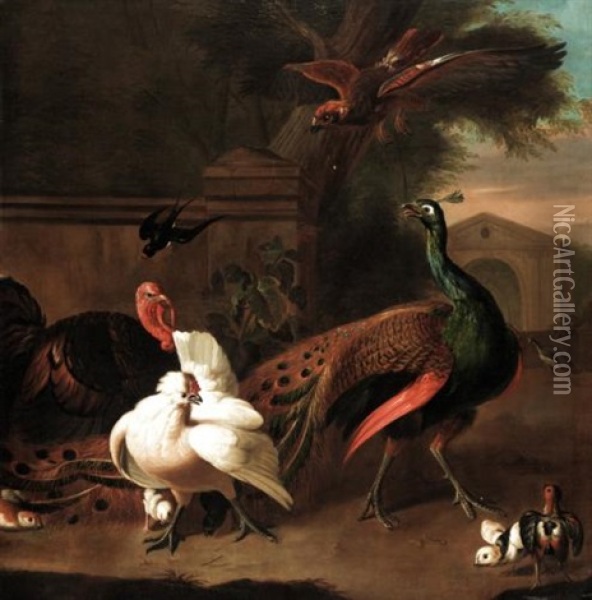 A Peacock With A Turkey, Hen And Chicks And A Swallow Startled By A Bird Of Prey In An Ornamental Garden Oil Painting - Melchior de Hondecoeter
