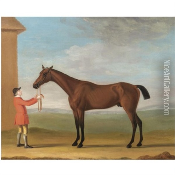 Mr Jenison Shafto's Bay Racehorse "goldfinder" Oil Painting - Francis Sartorius the Elder