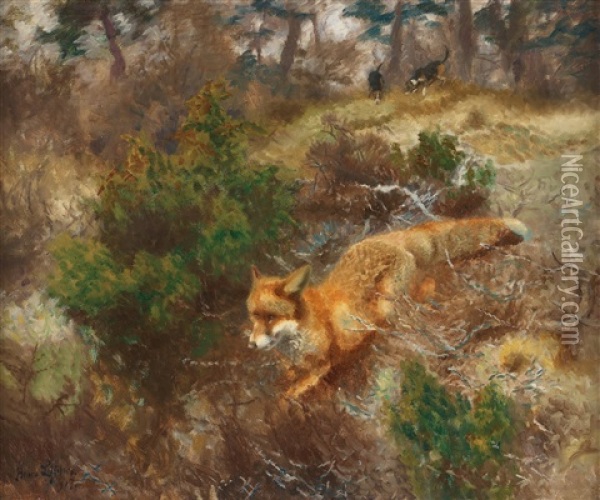 Fox And Hounds Oil Painting - Bruno Liljefors