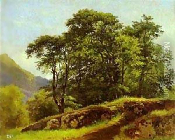 Beech Forest In Switzerland 1863 Oil Painting - Ivan Shishkin
