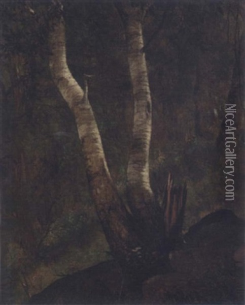 Birches On Lake Pepin Oil Painting - Joseph Rusling Meeker