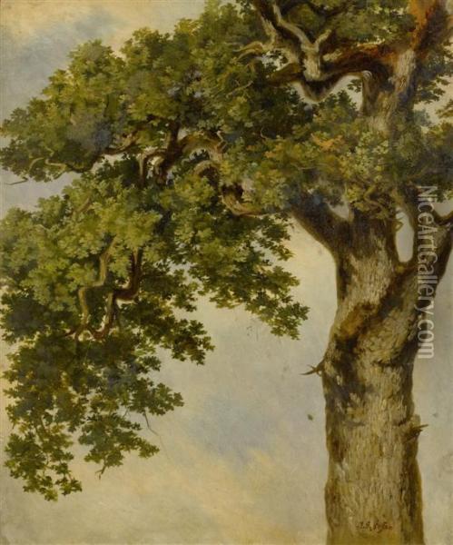 Tree Study Oil Painting - Johann Gottfried Steffan