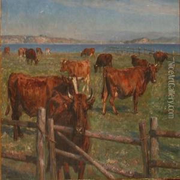 Grazing Cows Near A Coast Oil Painting - Michael Therkildsen