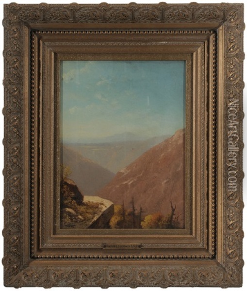 Allegheny Mountains From A Rocky Outcropping Oil Painting - John Williamson