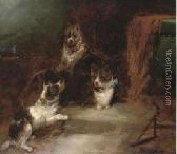 Terriers In A Barn; And A Fox And Rabbits In A Barn Oil Painting - George Armfield