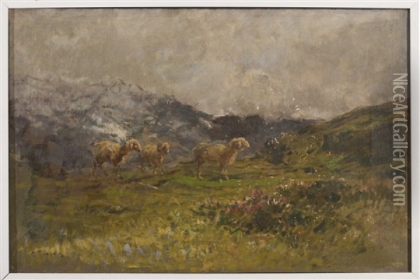 Daybreak In The Mountains: Landscape With Sheep Oil Painting - Eugenio Gignous