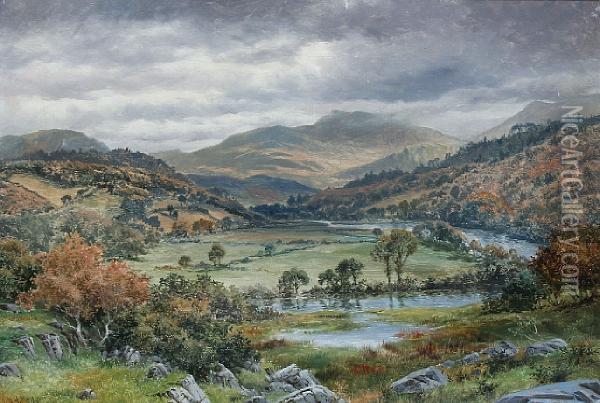 Valley Of The Union With View Of Arran Mawddwy Oil Painting - William Henry Mander