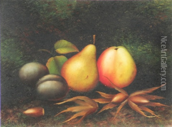 Still Life Of Apples, Pears And Plums (+ Another; Pair) Oil Painting - Carl Friedrich Heinrich Werner