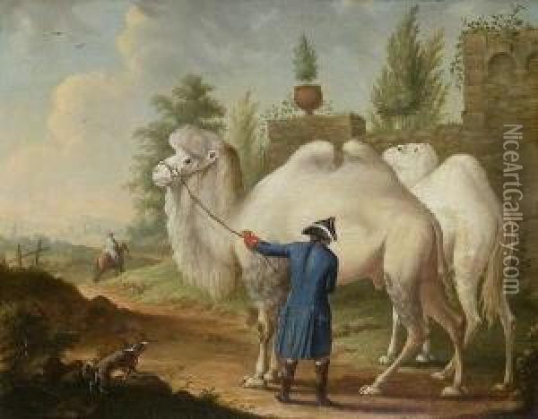 Ein Dromedarius Oder Trampeltier
 Und Cameel ... Oil Painting - Johann Georg Pforr