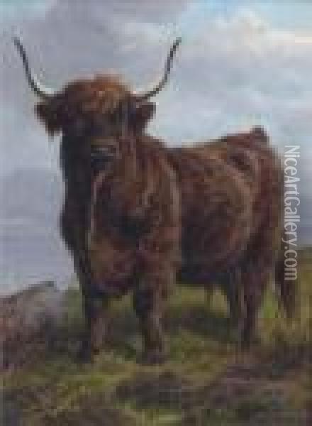The Monarch Of The Glen Oil Painting - Charles Jones