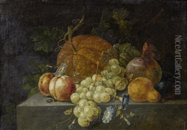 A Melon, Grapes, Peaches And Other Fruit On A Stone Ledge With Morning Glory And Various Insects; And A Melon, Grapes, A Lemon And Various Fruit On A Stone Ledge With Jasmine And Various Insects (2 Works) Oil Painting - Johann Amandus Winck