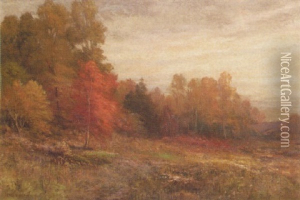In The Morning Light - October Oil Painting - Thomas Bigelow Craig
