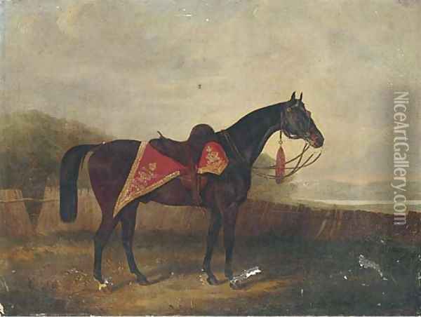A horse with ornate sadle cloth Oil Painting - Samuel Spode