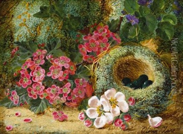 Flowers And A Bird's Nest On A Mossy Bank Oil Painting - Oliver Clare