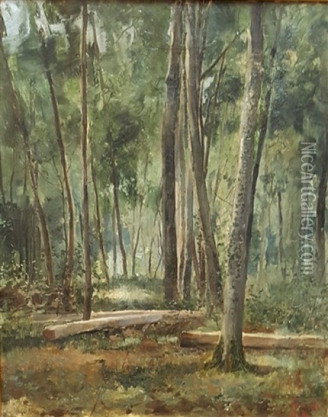 Forest Landscape Oil Painting - Hanna Berg