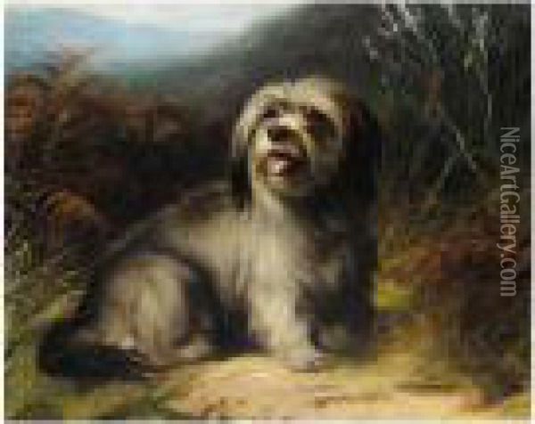 Skye Terrier Oil Painting - Thomas William Earl