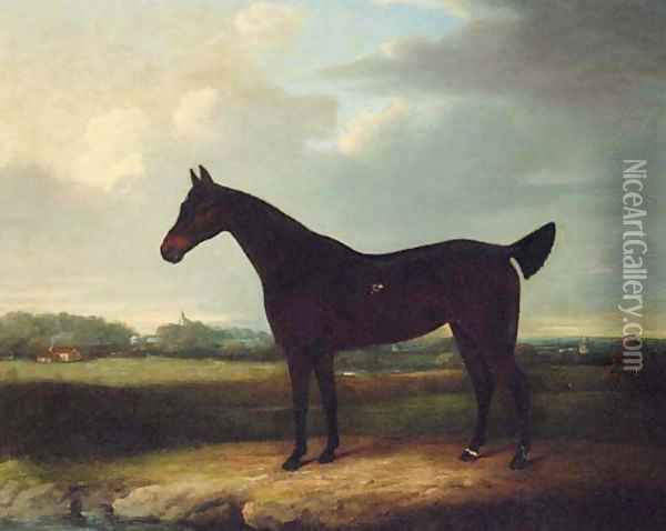 A dark bay Racehorse in an extensive Landscape, thought to be Newmarket Oil Painting - Henry Bernard Chalon