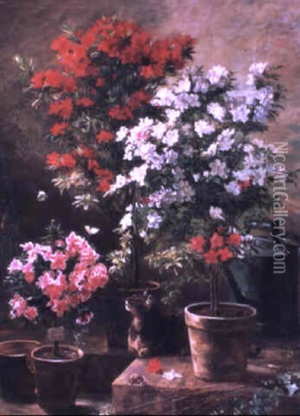 Fleurs De Serre Oil Painting - Charles-Paul Desavary