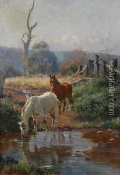 Horses Watering Oil Painting - Jan Hendrik Scheltema