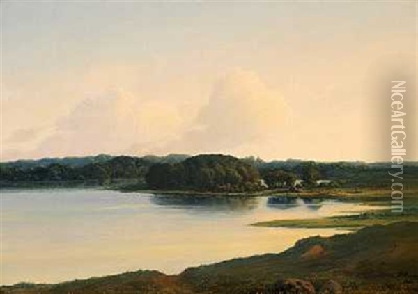 Tidlig Aftenlys Over Soen Ved Skjoldnaesholm Oil Painting - Peter Olsted