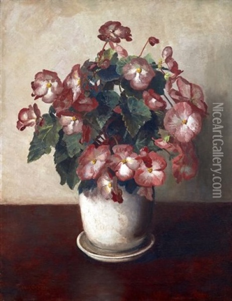 Still Life With Begonias Oil Painting - Frans David Oerder