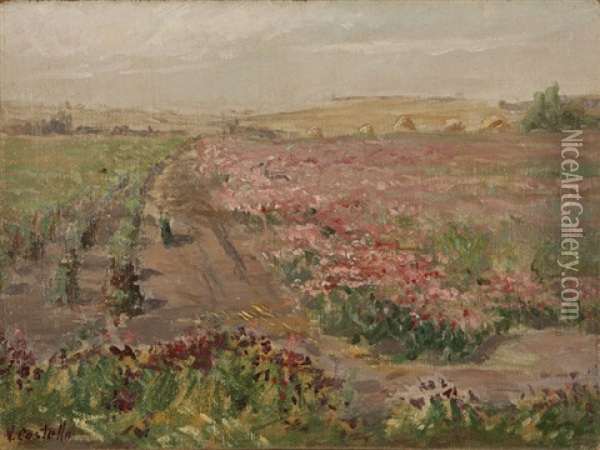 Flower Fields Oil Painting - Val. J. Costello