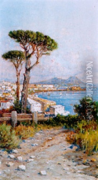 A View Of The Bay Of Naples From Posilipo Oil Painting - Giuseppe Carelli