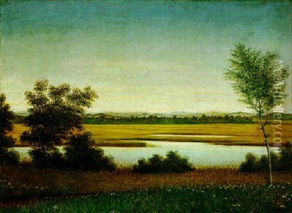Moorlandschaft Oil Painting - Georg Schrimpf