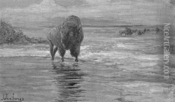 Plains Landscape With Bison In Water Oil Painting - John Innes