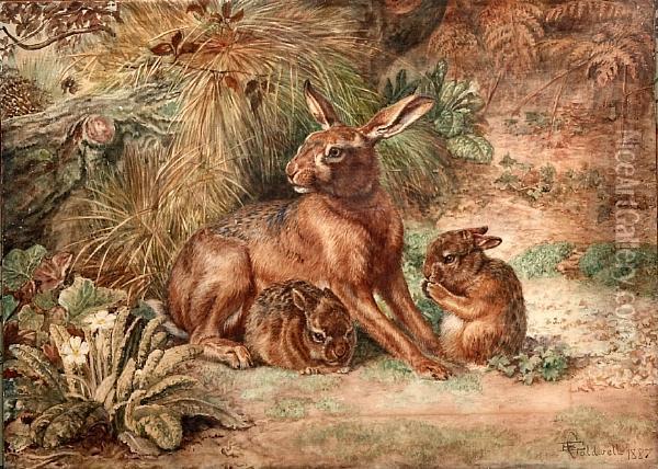 Study Of A Hare And Two Leverets Oil Painting - Edmund Caldwell