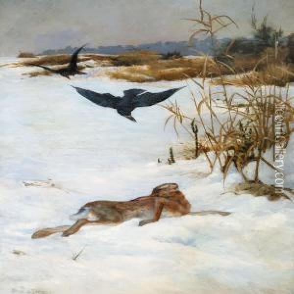Raven And Hare In A Winter Landscape Oil Painting - Bruno Andreas Liljefors