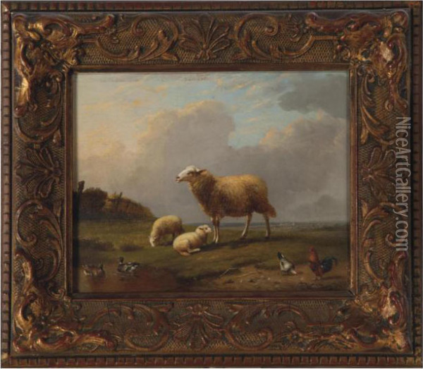 Sheep, Ducks And Chicken In A Pasture Oil Painting - Franz van Severdonck