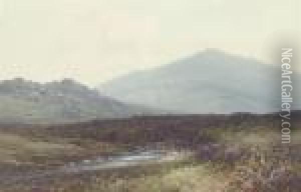 A Moorland Landscape Oil Painting - Frederick John Widgery