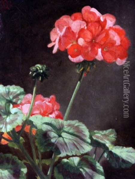 Pelegonian Blooms Oil Painting - Norman Macbeth