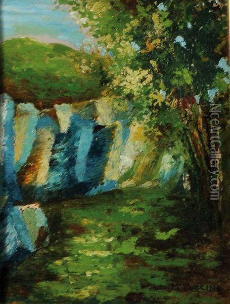 Paesaggio Oil Painting - Mario Puccini