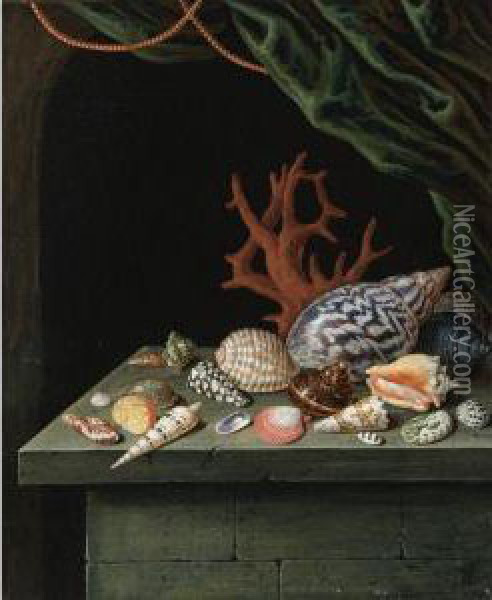 Still Life With Shells And Coral, Resting On A Stone Ledge Oil Painting - Antoine Berjon
