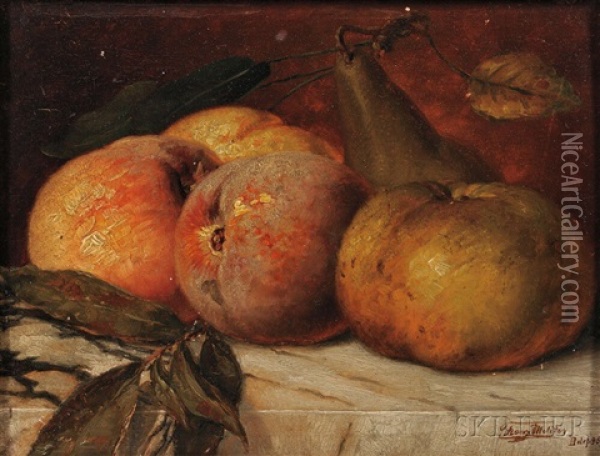 Still Life With Fruit Oil Painting - Franz Molitor
