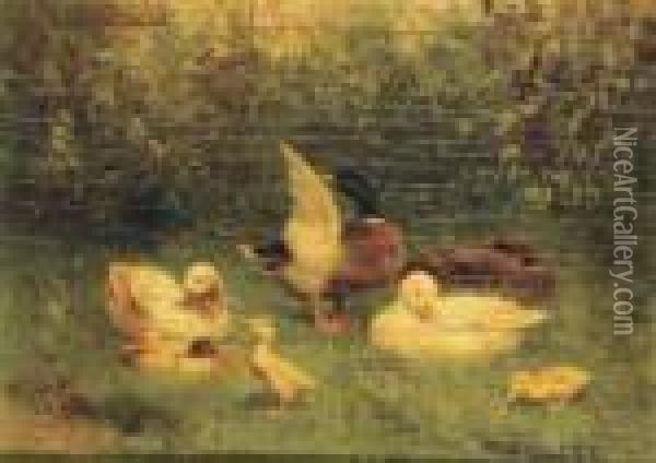 A Duck Family Oil Painting - David Adolf Constant Artz