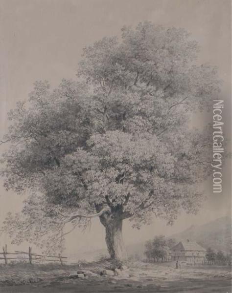 The Old Tree Oil Painting - Jacob Alt