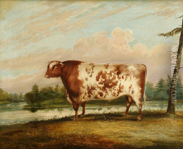In The Manor Of A. Clark Portrait Of A Bull In A Landscape Oil Painting - A. Clark