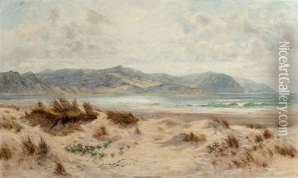 Dunes On A Welsh Coast Oil Painting - Daniel Sherrin