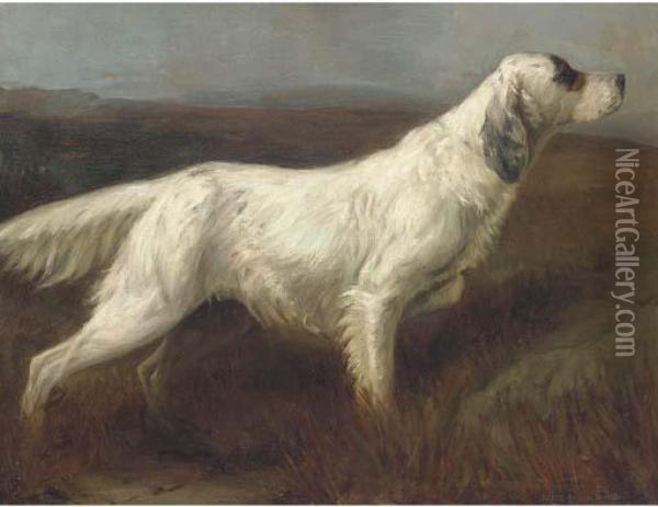 Patti Of Gerwn, An English Setter Oil Painting - Rose D. Bonnor