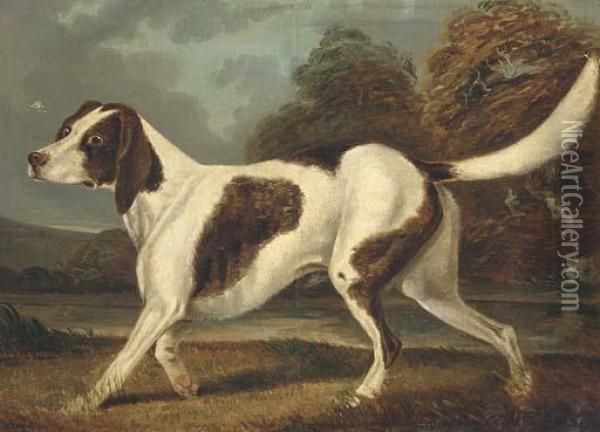 A Gundog In A Landscape Oil Painting - Charles Branscombe