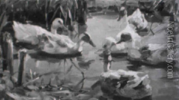 Sechs Enten Auf Einem Teich Oil Painting - Alexander Max Koester