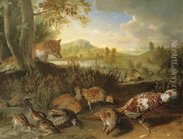 English And French Partridge Oil Painting - Alexandre-Francois Desportes