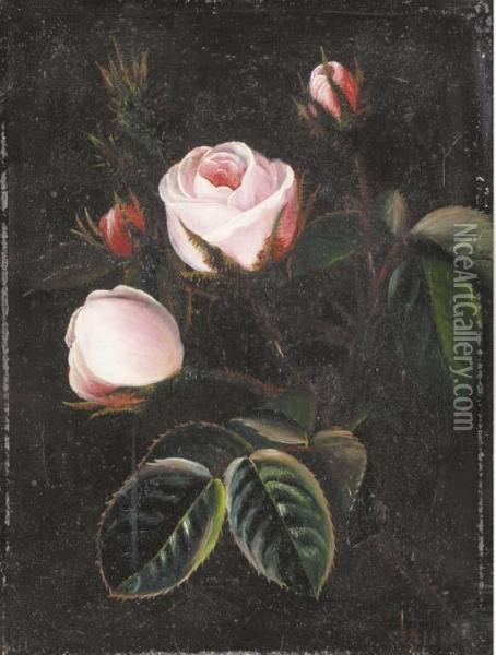 Pink Roses Oil Painting - Otto Didrik Ottesen