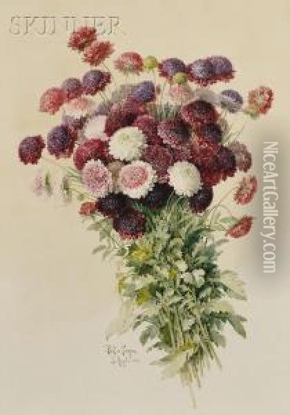 Bouquet Of Chrysanthemums Oil Painting - Paul De Longpre